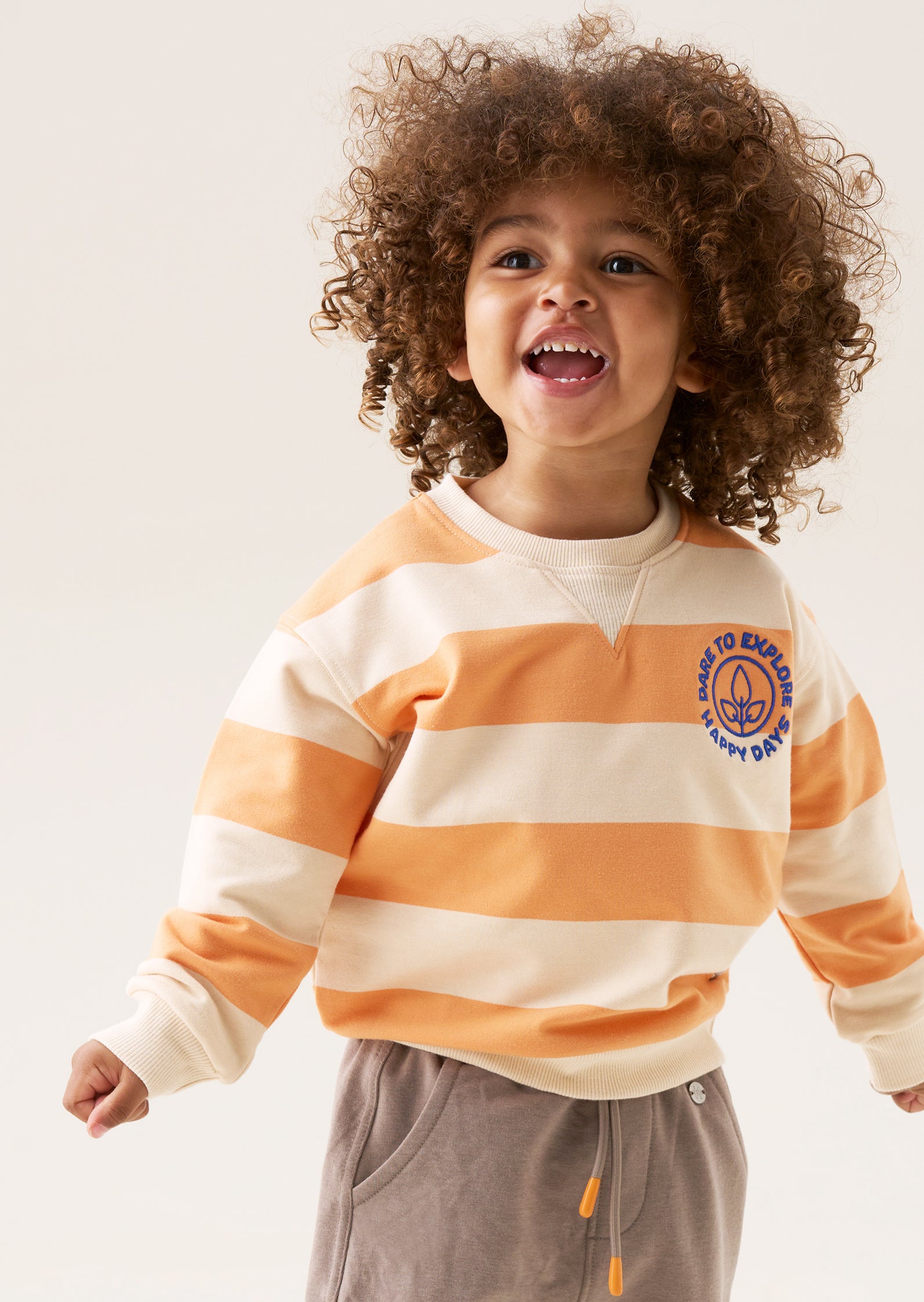 baby boy mini stripe sweatshirt