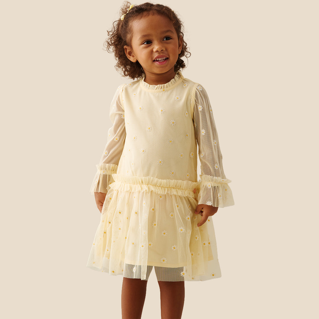 Neve Daisy Embroidered Mesh Dress