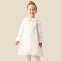 Gabrielle Fur Collar Mesh Dress