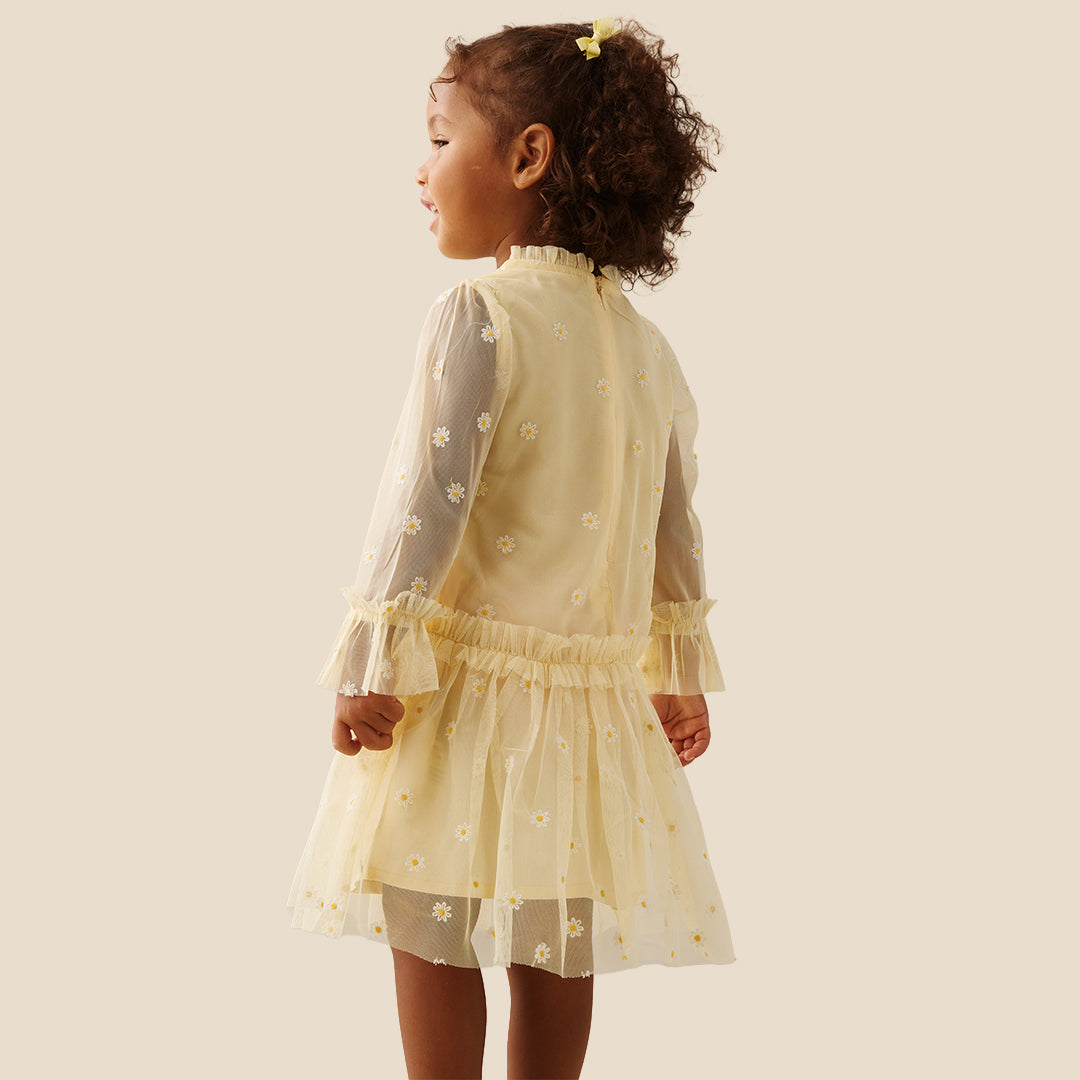 Neve Daisy Embroidered Mesh Dress - Angel & Rocket