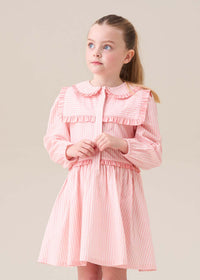 Frankie Pink Candy Stripe Shirt Dress
