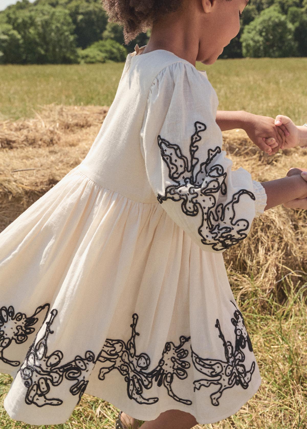 Reyna Embroidered Balloon Sleeve Dress