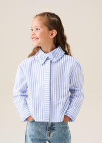 Iris Stripe Corsage Collar Shirt