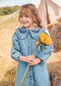 Aria Denim Embroidered Collar Dress
