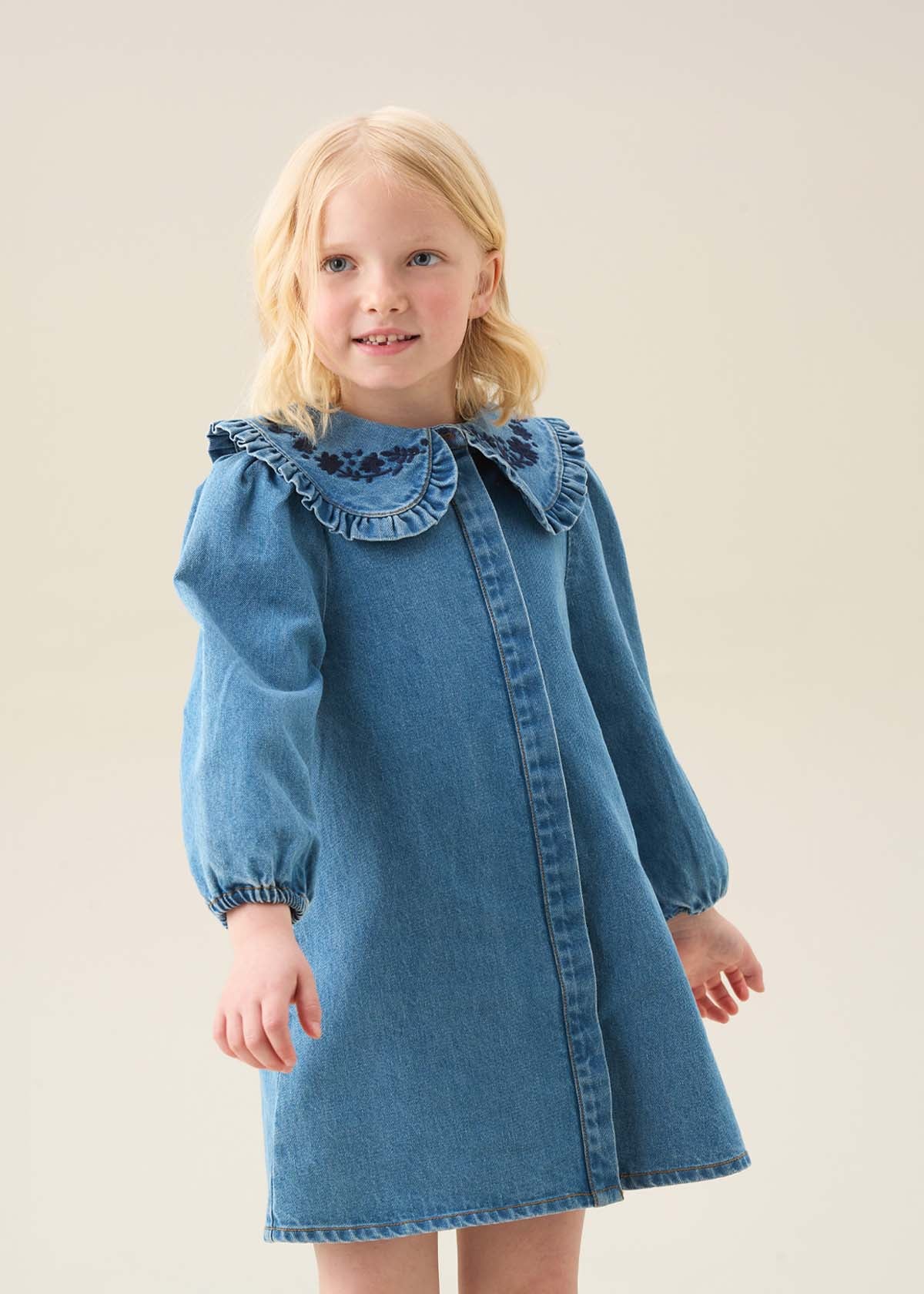 Aria Denim Embroidered Collar Dress