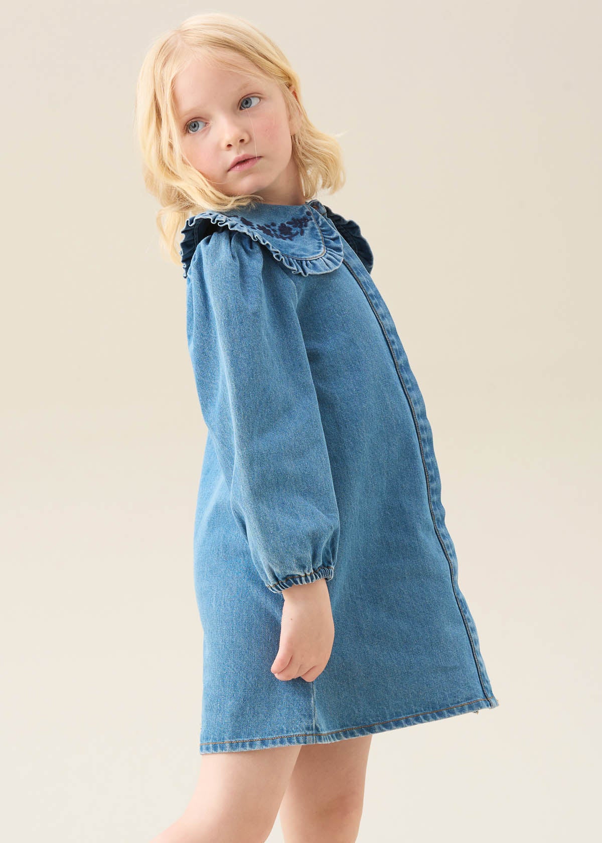 Aria Denim Embroidered Collar Dress