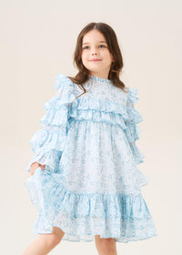 Imogen Blue Leopard Frill Dress