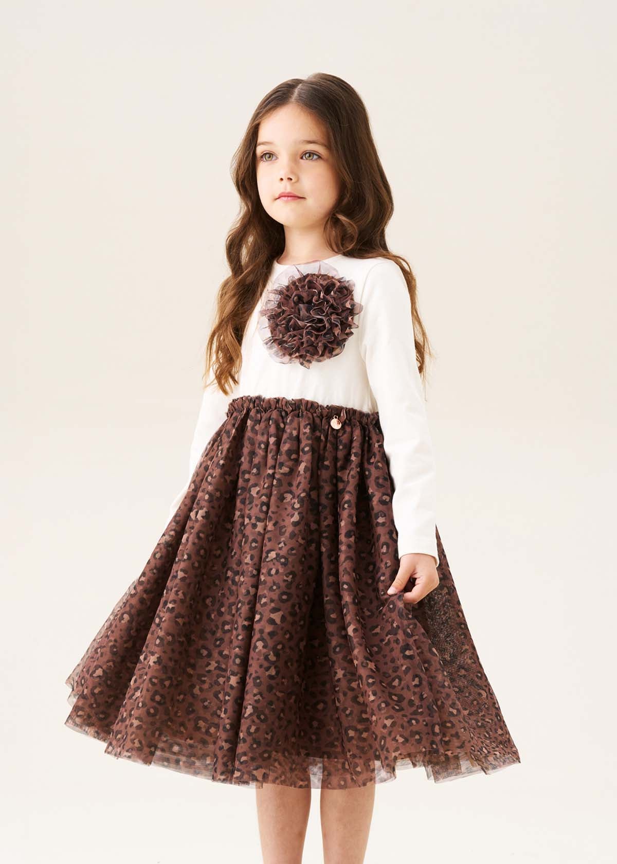 Carrie Corsage Mesh Dress