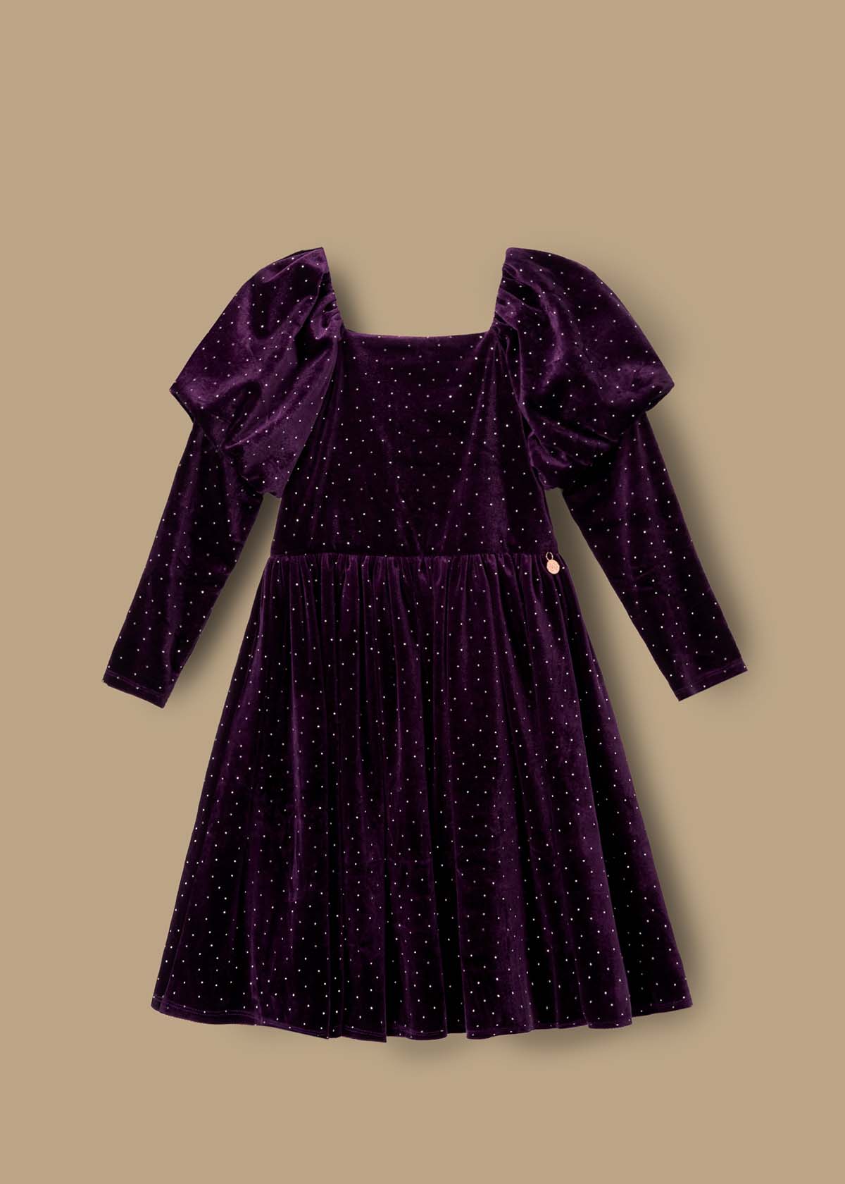 Violet Velvet Dress