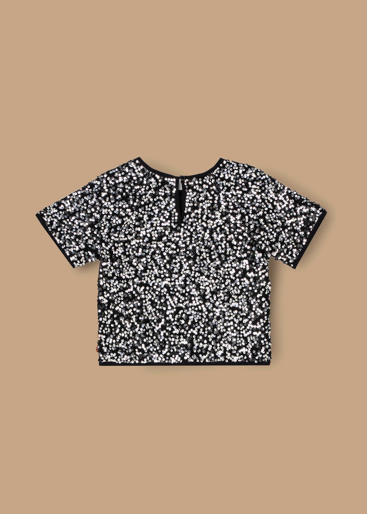 Leona Silver Sequin Top