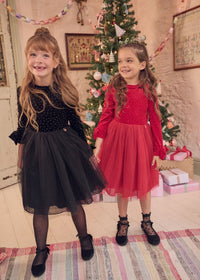 Elsie Velvet Tulle Dress Black