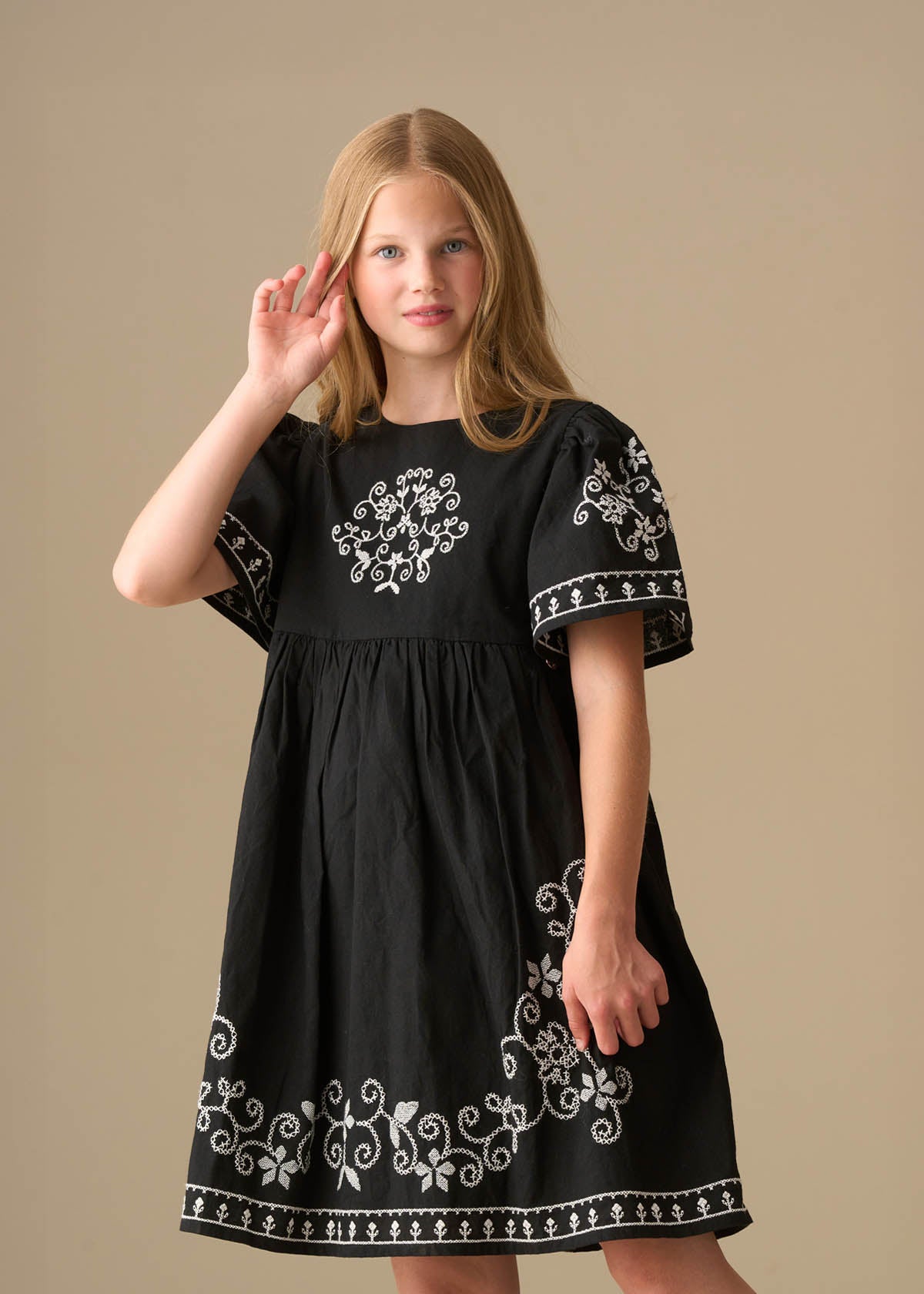 Reyna Black Embroidered Swing Dress