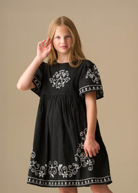 Reyna Black Embroidered Swing Dress