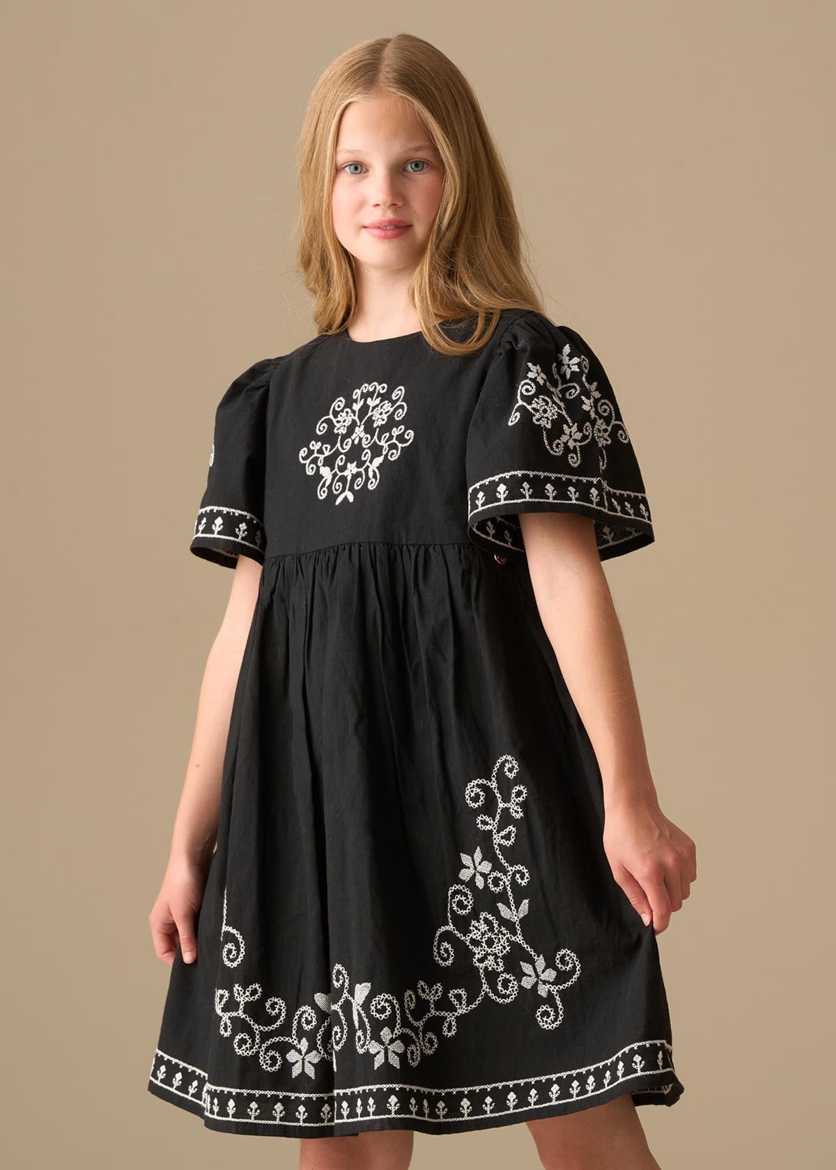 Reyna Black Embroidered Swing Dress
