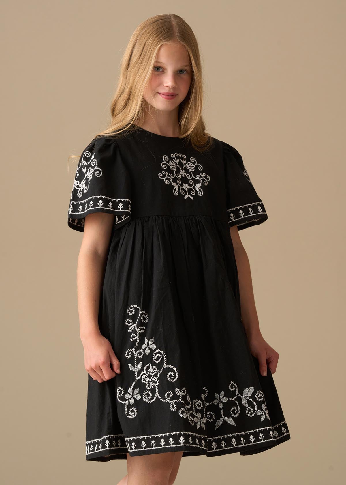 Reyna Black Embroidered Swing Dress