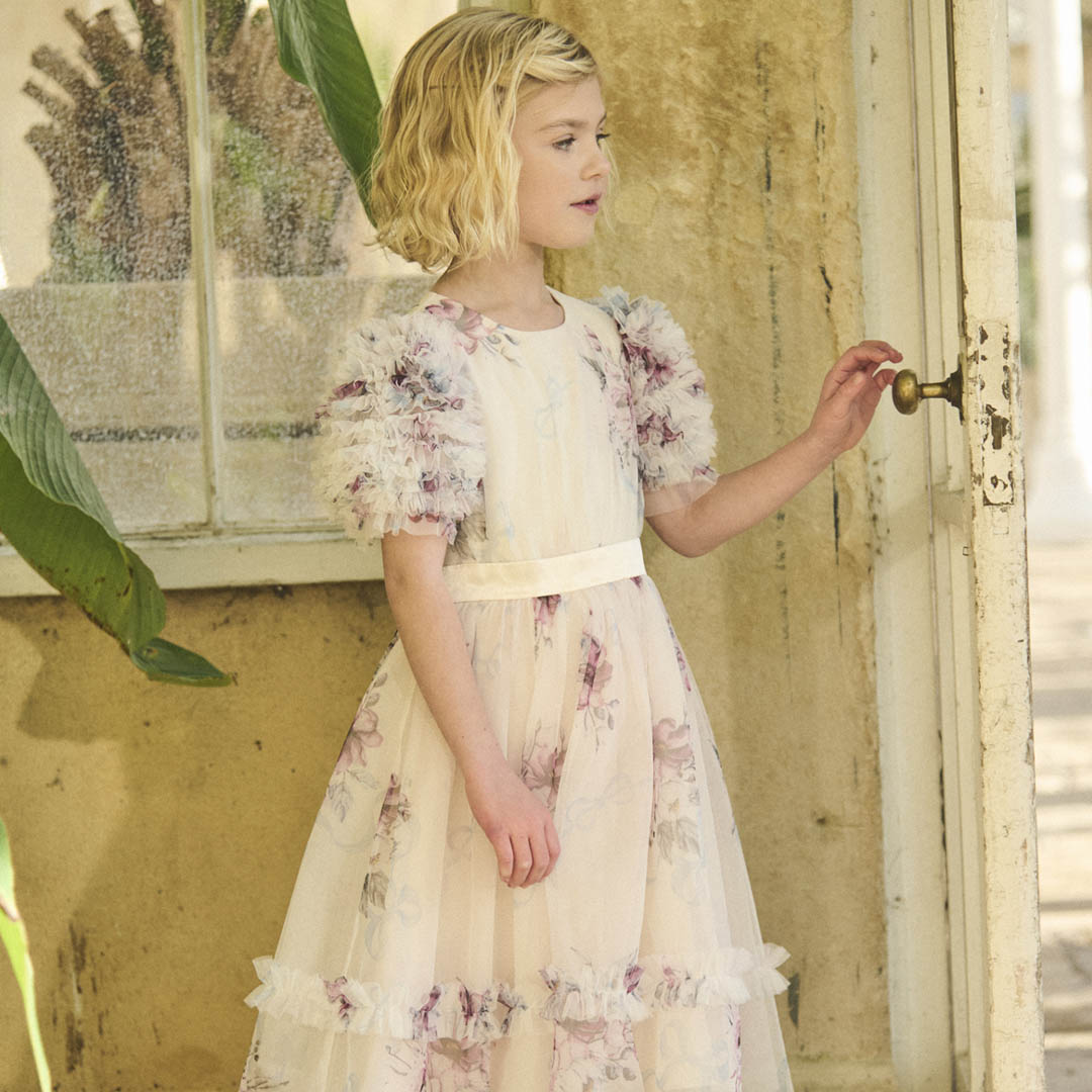 Florence Blush Pink Ruffle Sleeve Mesh Dress