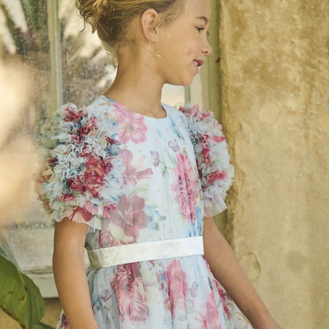 Florence Blue Ruffle Sleeve Mesh Dress