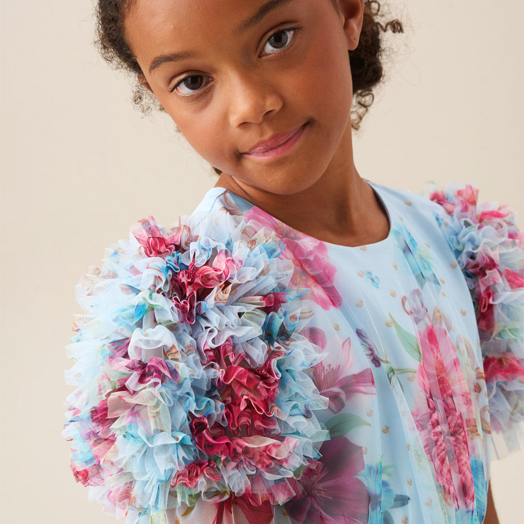 Florence Blue Ruffle Sleeve Mesh Dress