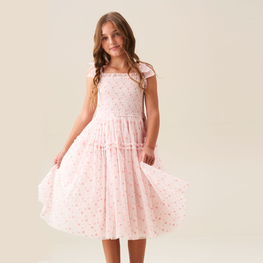 Vivi Heart Flock Tie Shoulder Mesh Dress