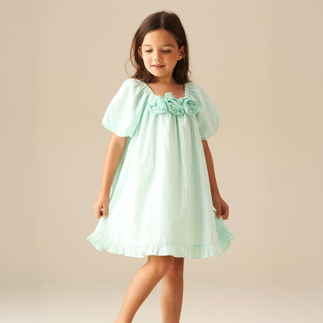 Coletta Corsage Stripe Swing Dress