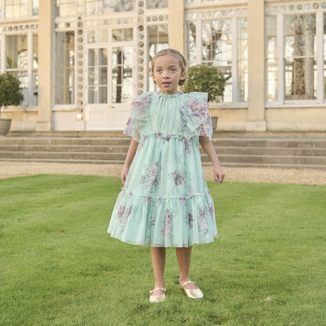 Rosa Mint Green Floral Mesh Dress