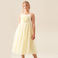 Lily Corsage Mesh Dress