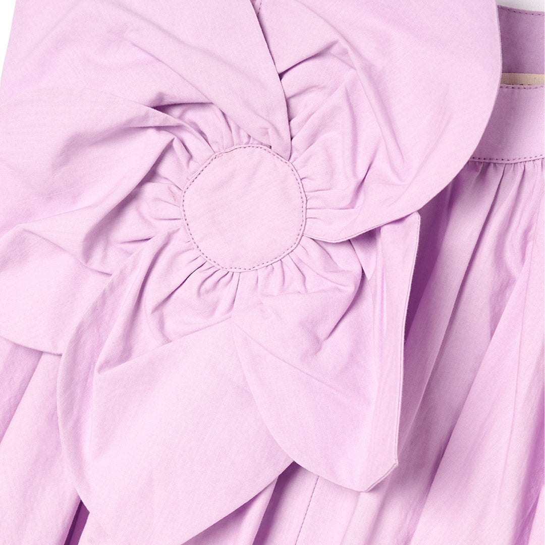 Marnie Corsage Swing Dress