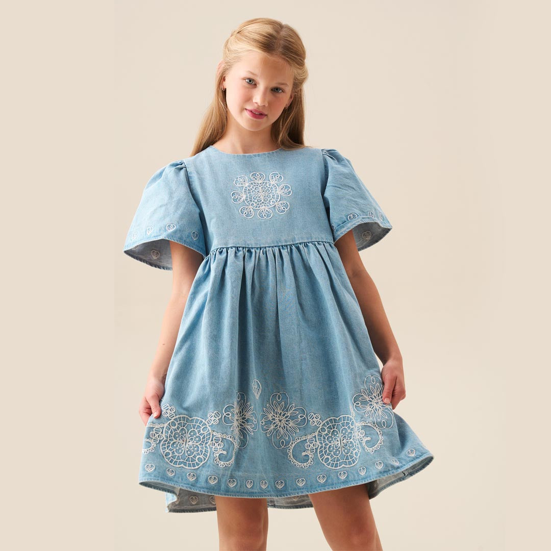 Reyna Denim Embroidered Swing Dress Blue