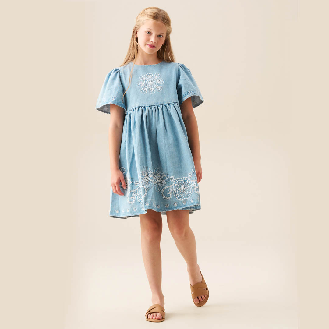 Reyna Denim Embroidered Swing Dress Blue