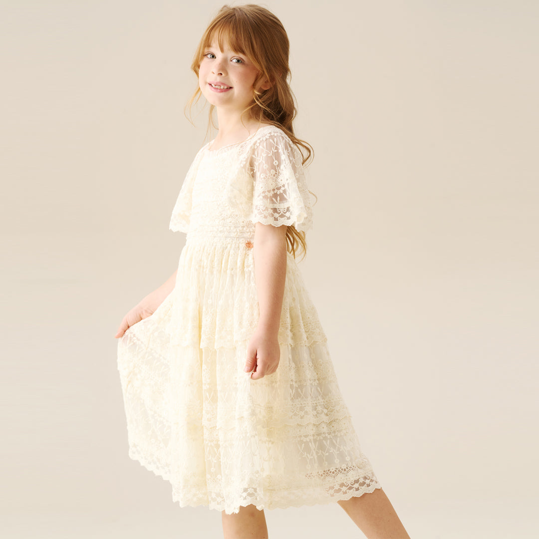 Annabelle Vintage Lace Mesh Dress