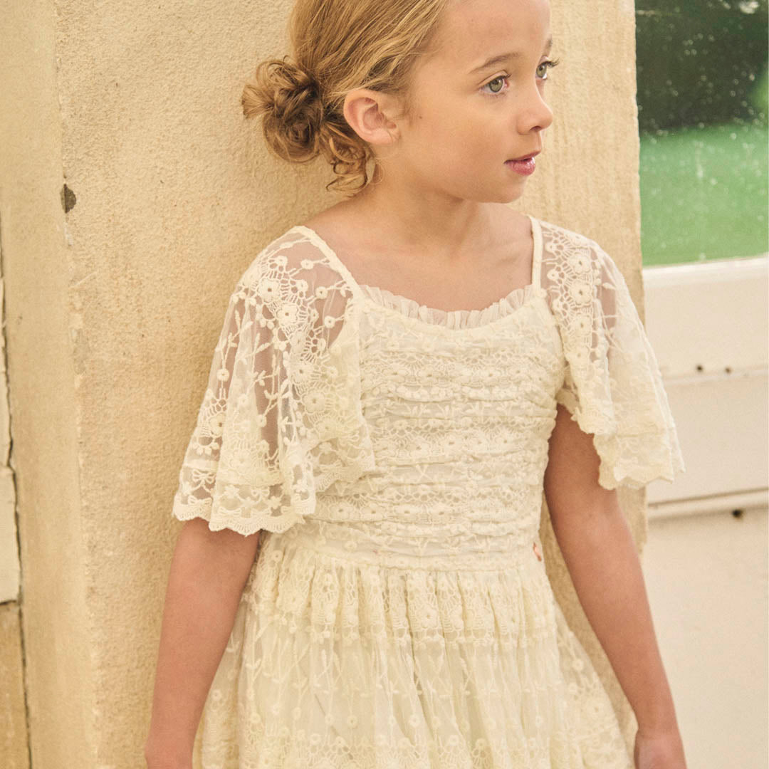 Annabelle Vintage Lace Mesh Dress