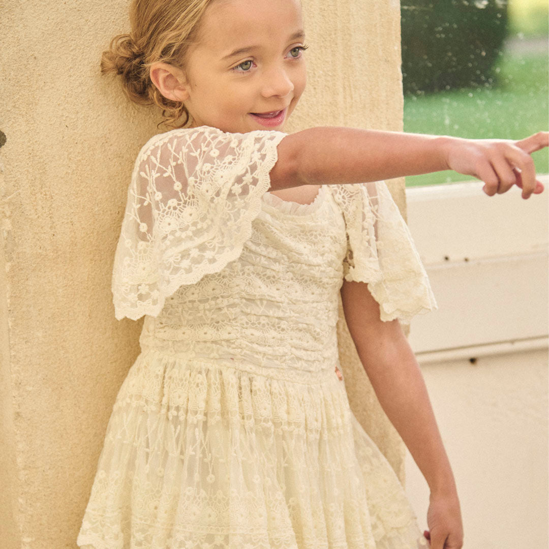 Annabelle Vintage Lace Mesh Dress