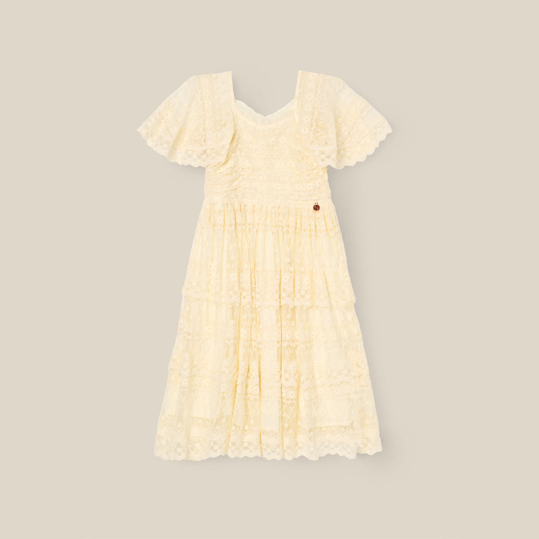 Annabelle Vintage Lace Mesh Dress