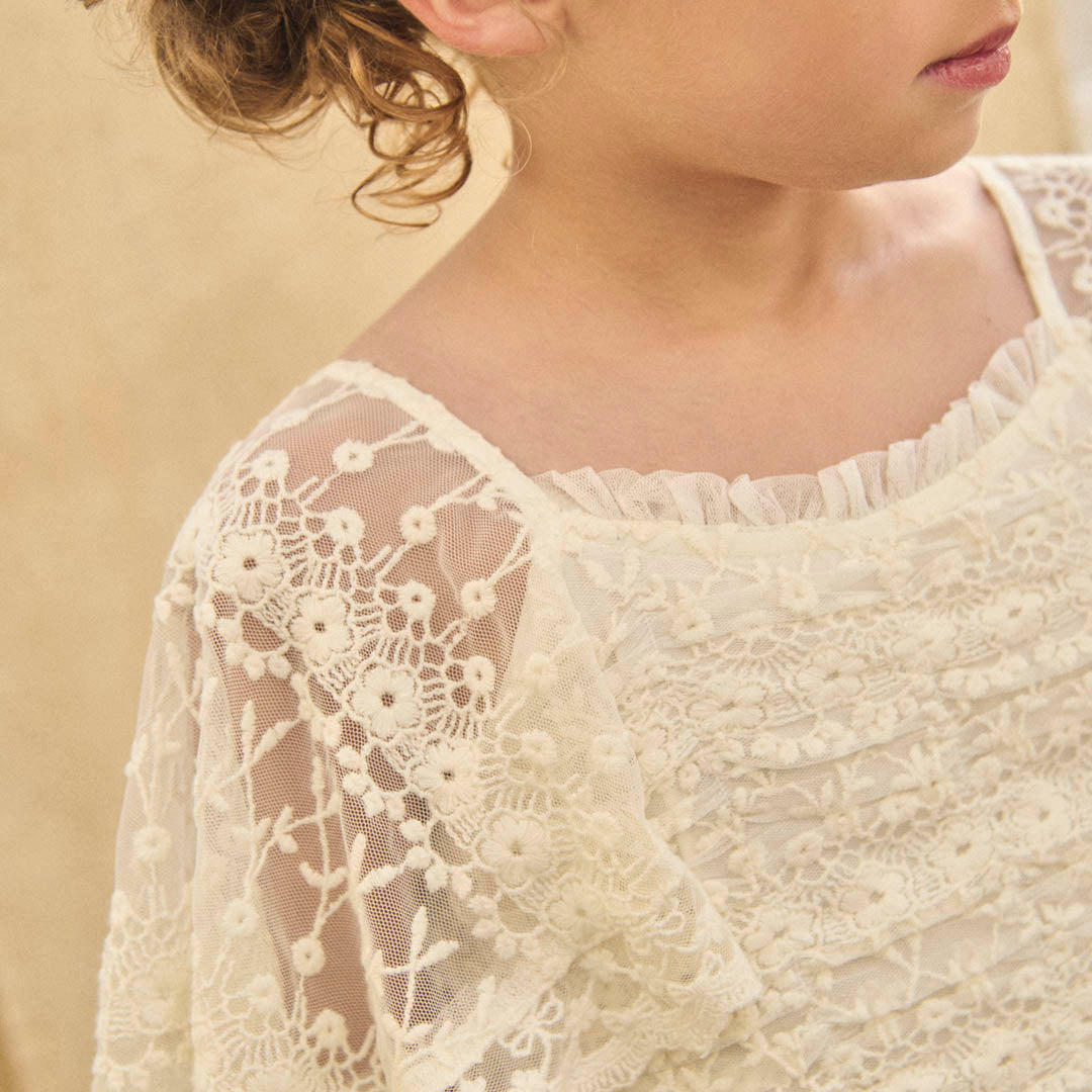 Annabelle Vintage Lace Mesh Dress