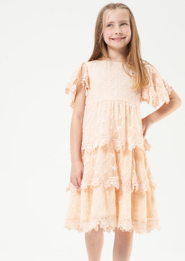 Girls Pink Floral Embroidered Premium Dress