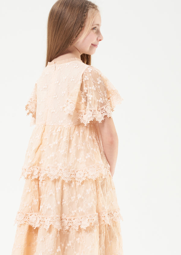 Girls Pink Floral Embroidered Premium Dress