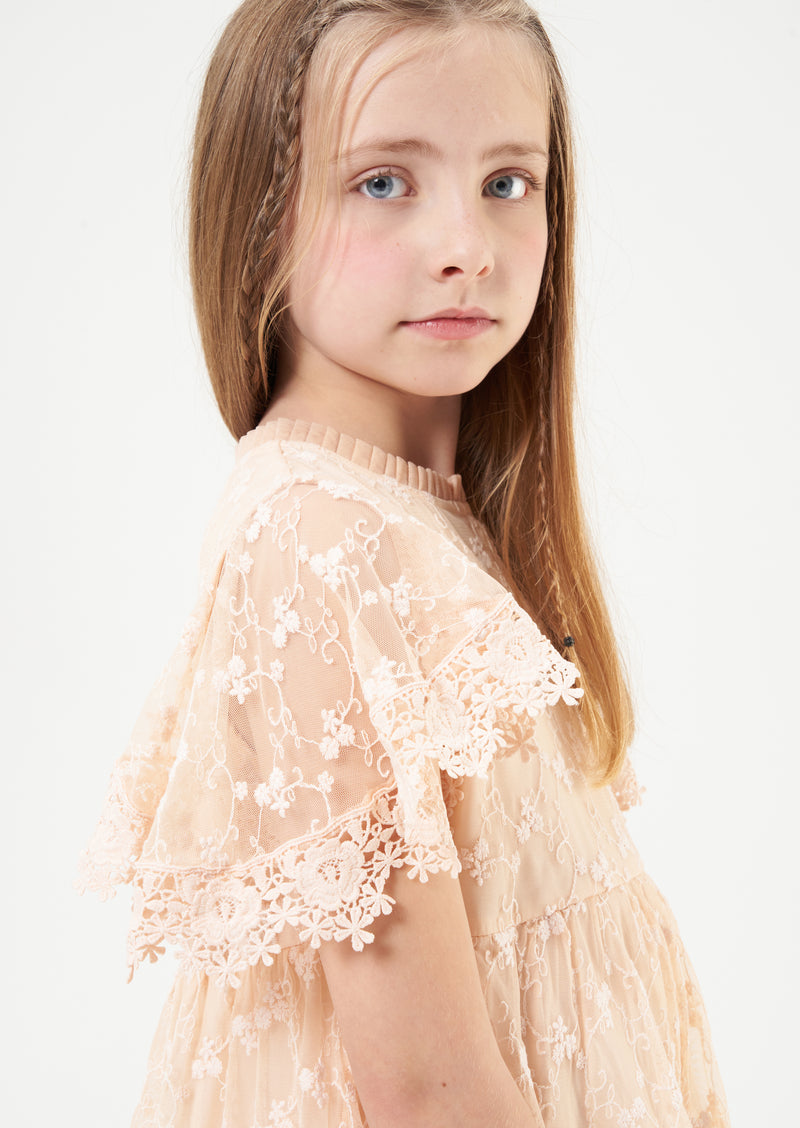 Girls Pink Floral Embroidered Premium Dress