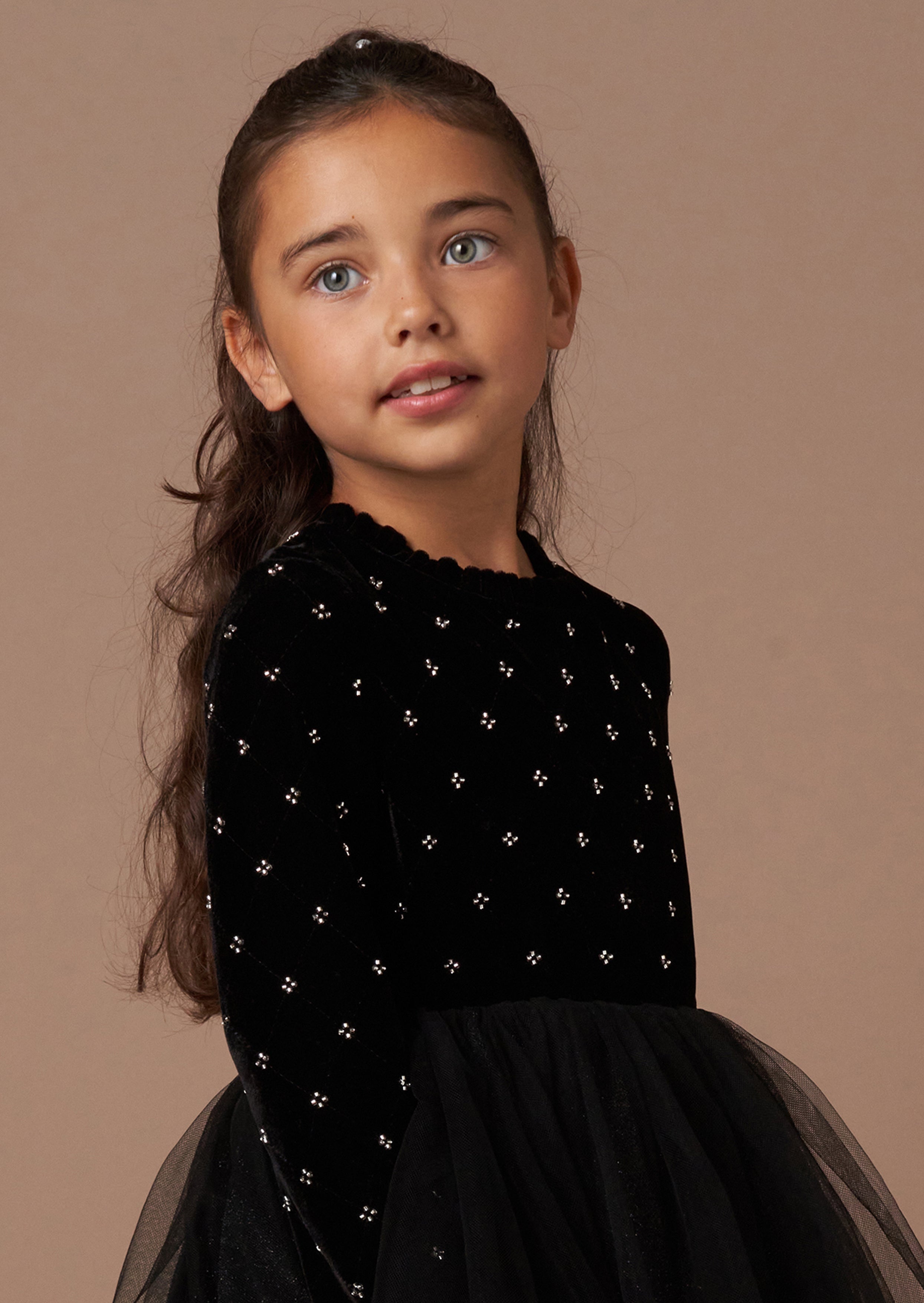 Elsie Black Beaded Velvet Tuelle Dress