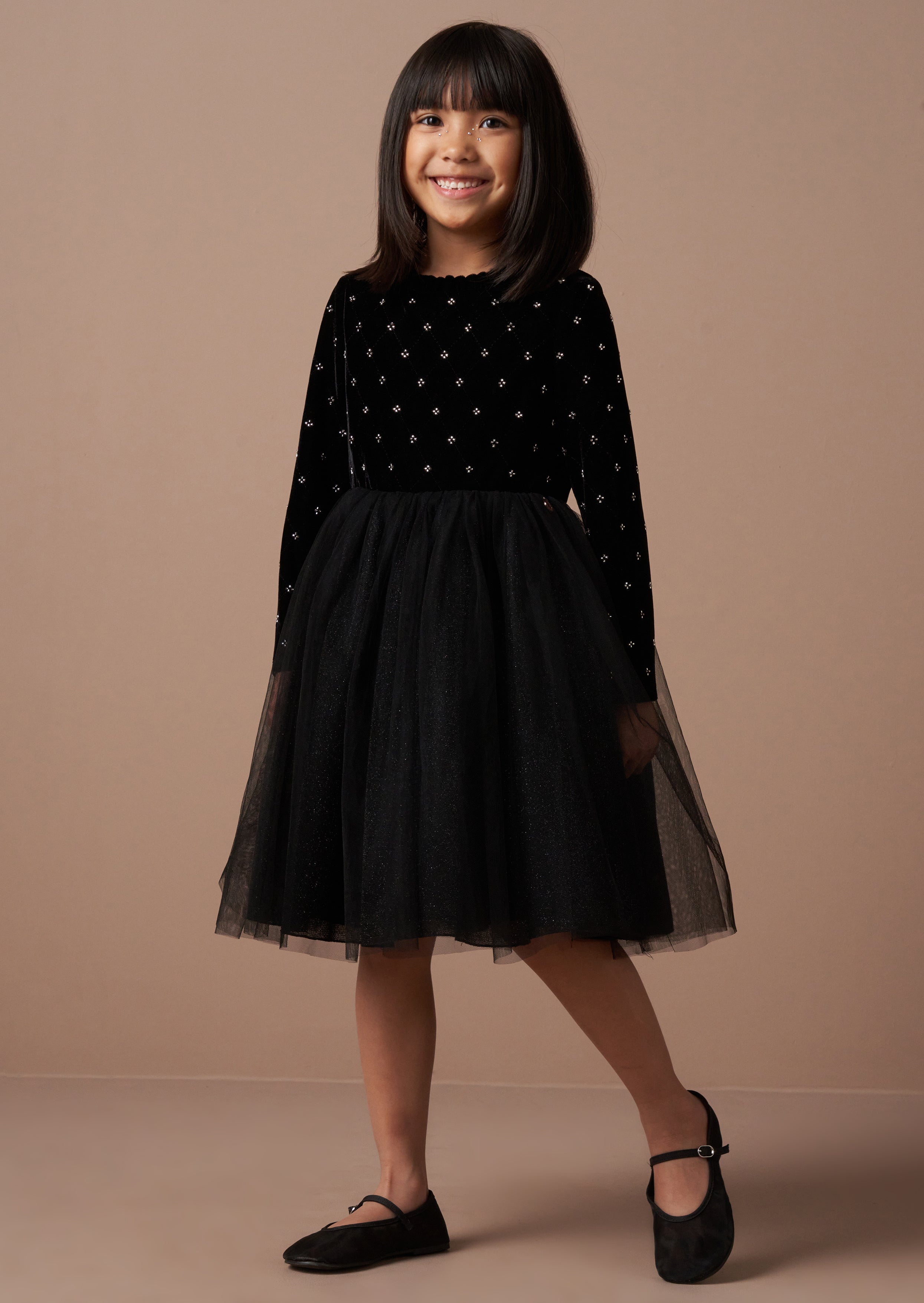 Elsie Black Beaded Velvet Tuelle Dress