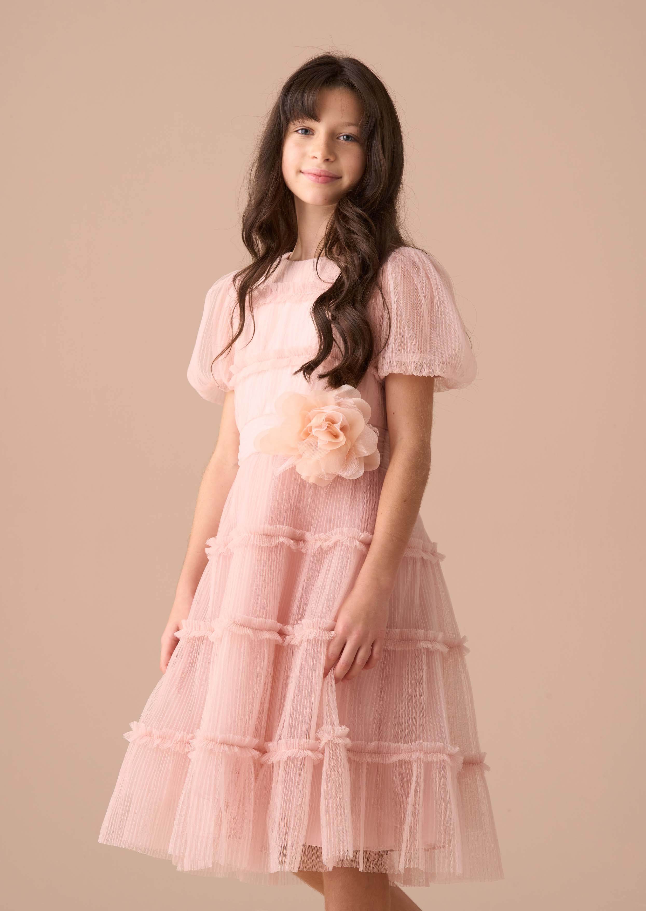 Clara Pink Pleated Mesh Corsage Dress