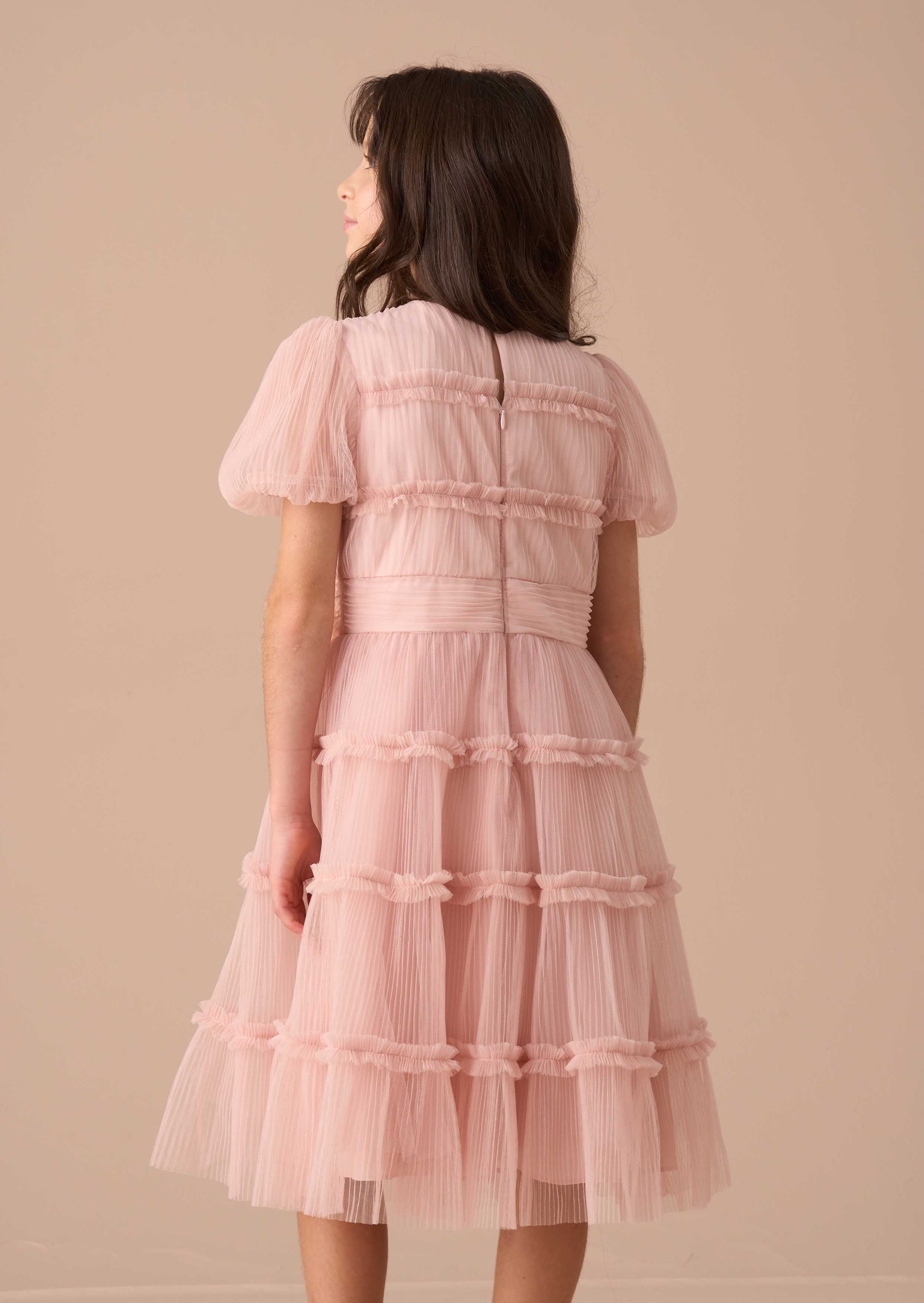 Clara Pink Pleated Mesh Corsage Dress