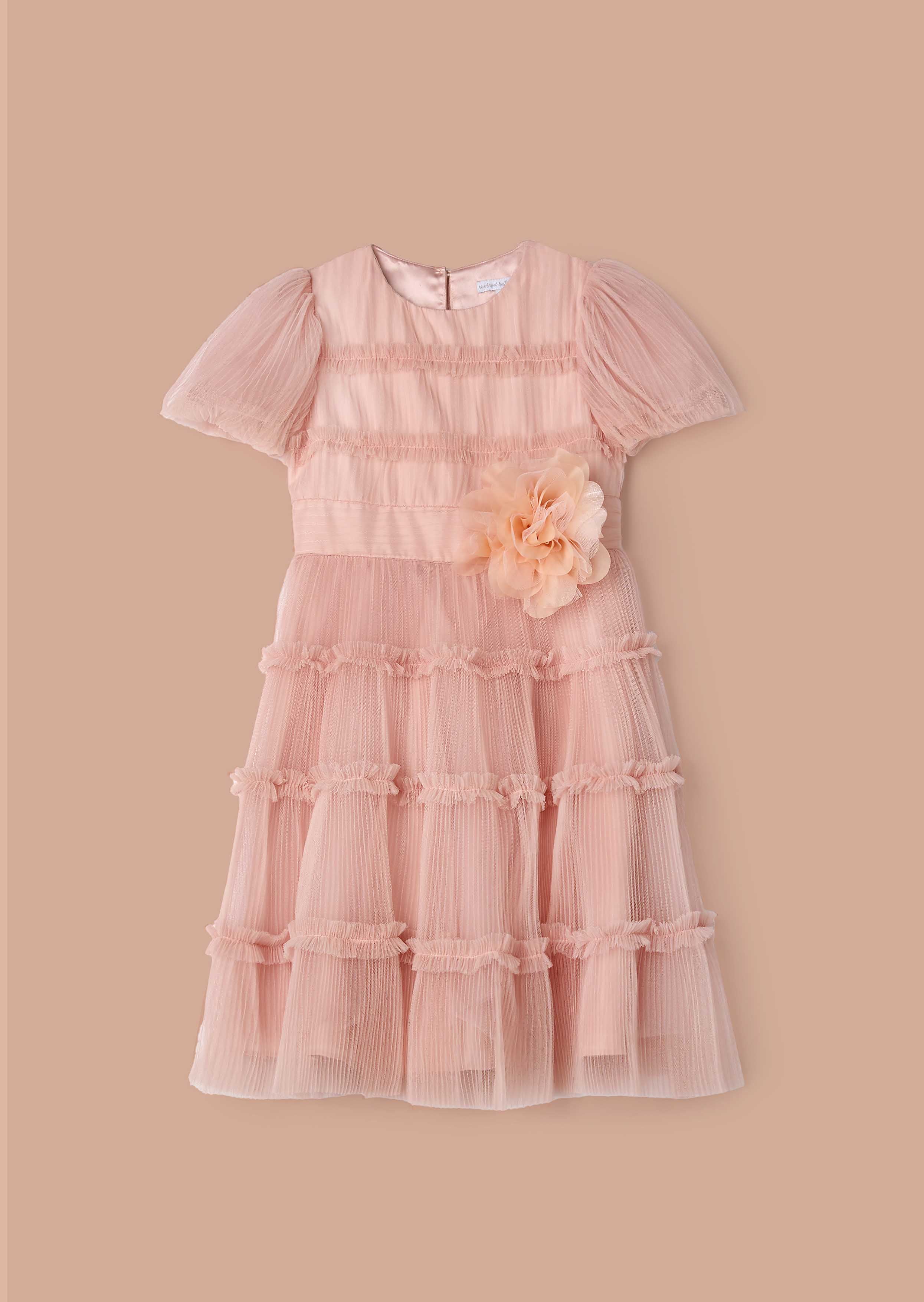 Clara Pink Pleated Mesh Corsage Dress