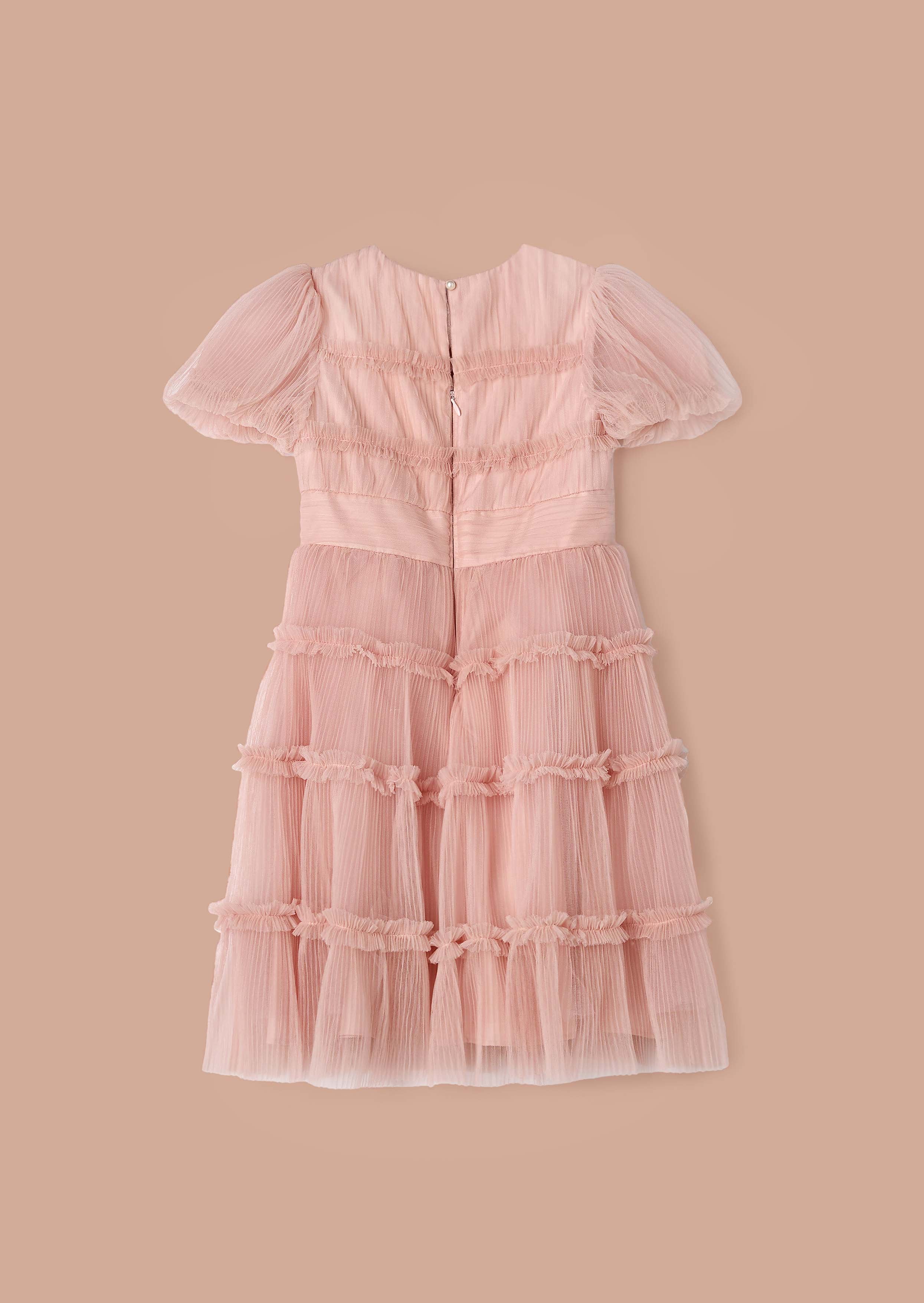 Clara Pink Pleated Mesh Corsage Dress