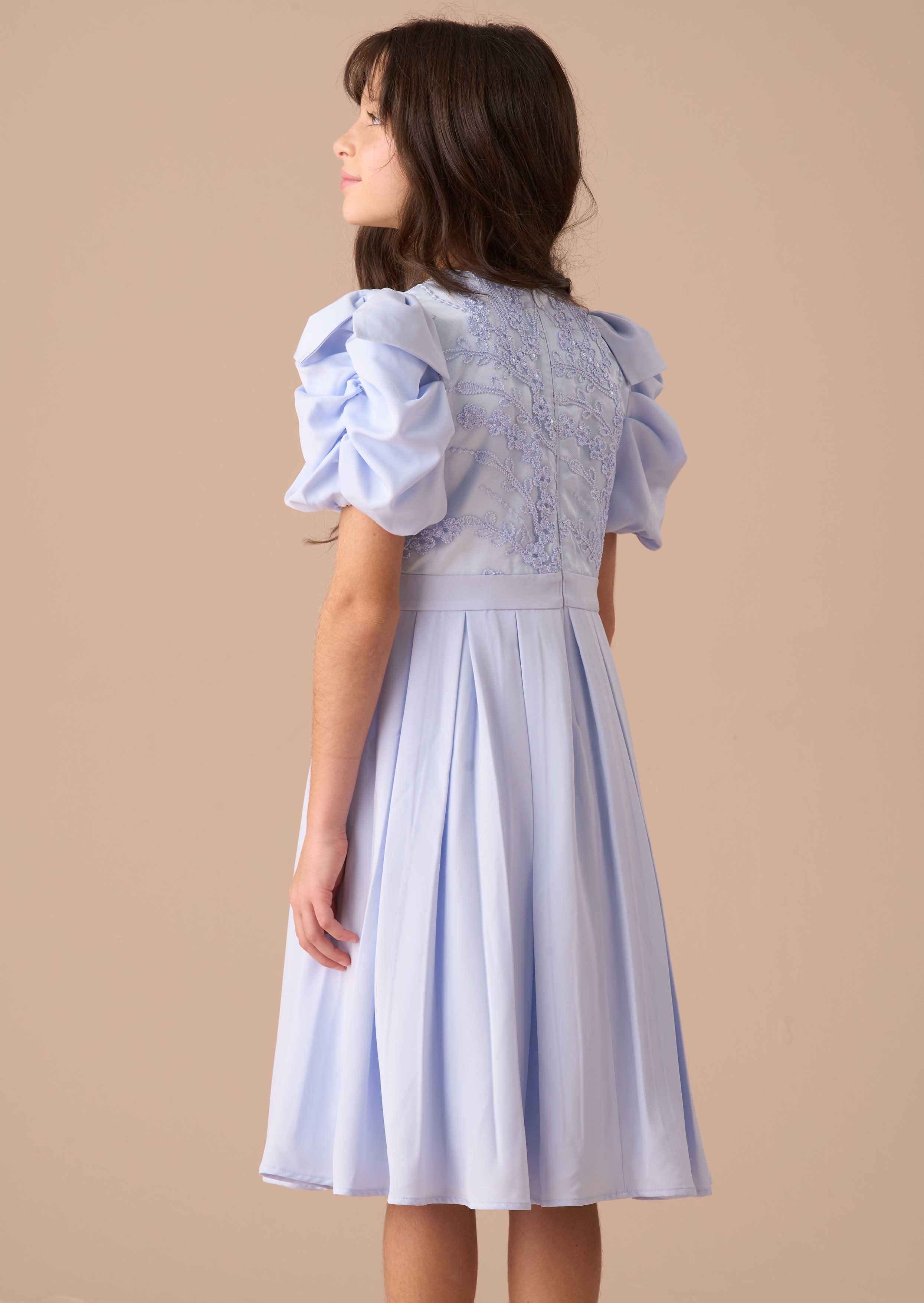 Coralie Blue Embroidered Bodice Dress