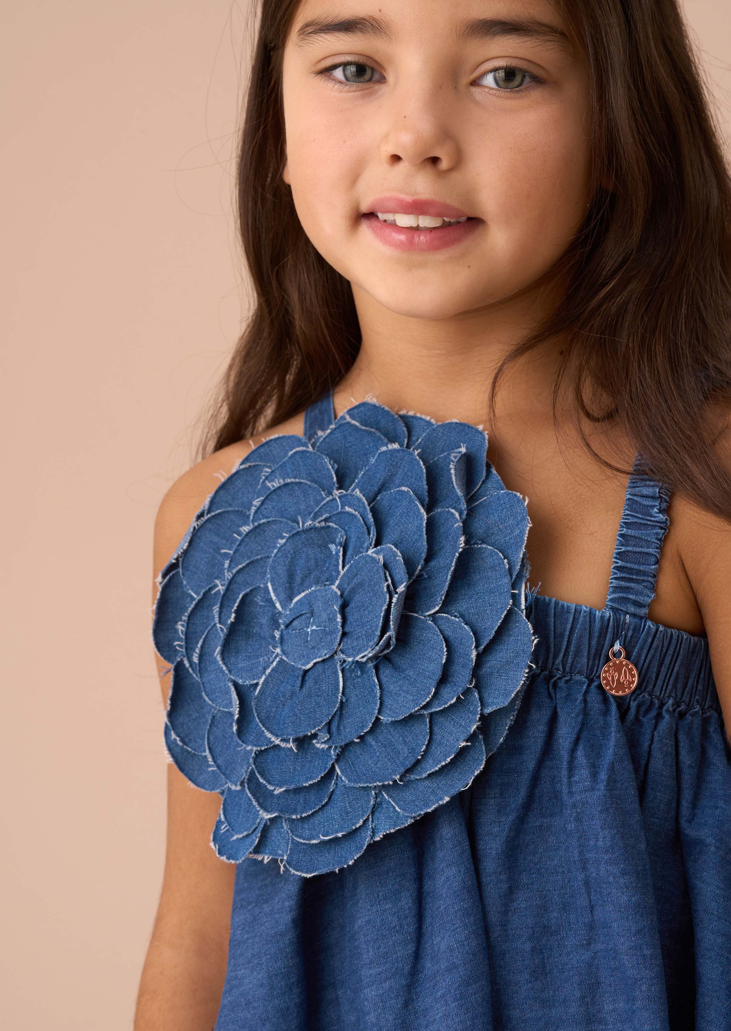 Marnie Denim Corsage Swing Dress