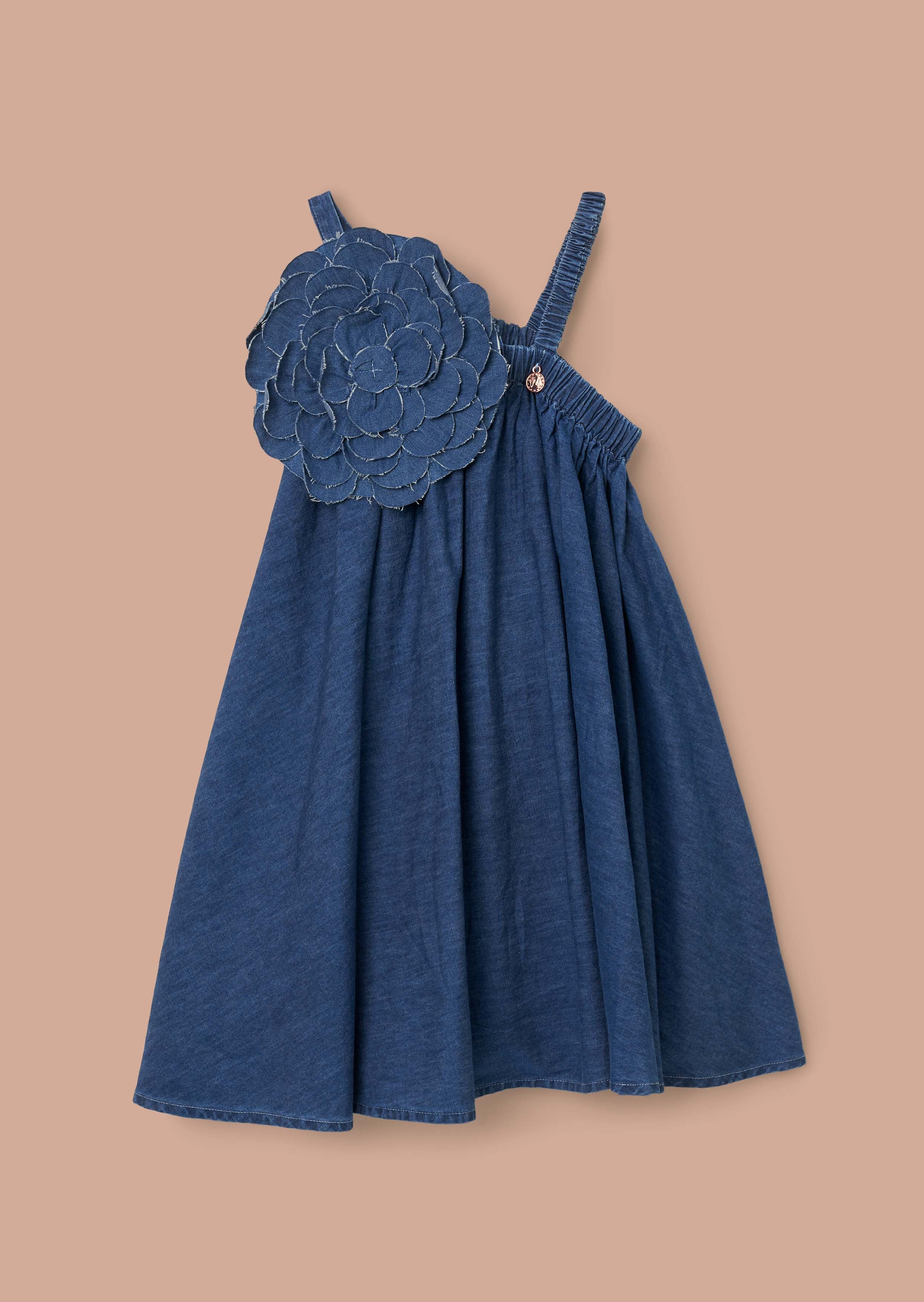 Marnie Denim Corsage Swing Dress