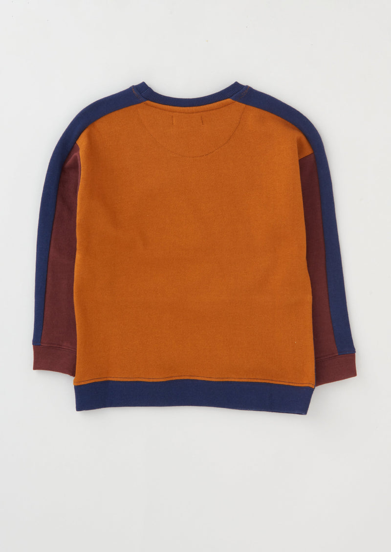 Baby Boy Brown Color Blocked Sweatshirt