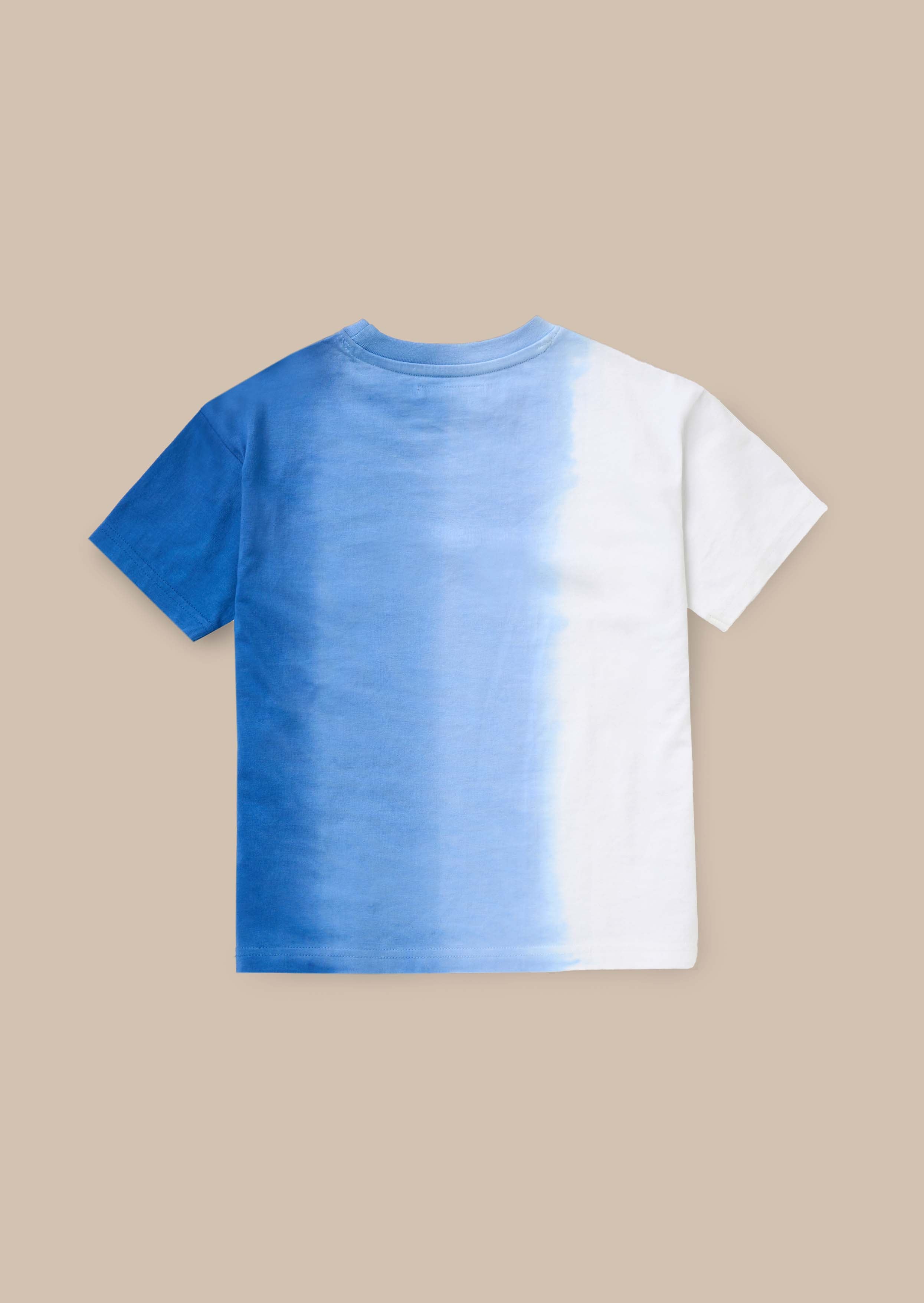 Brad Blue Ombre Washed T Shirt