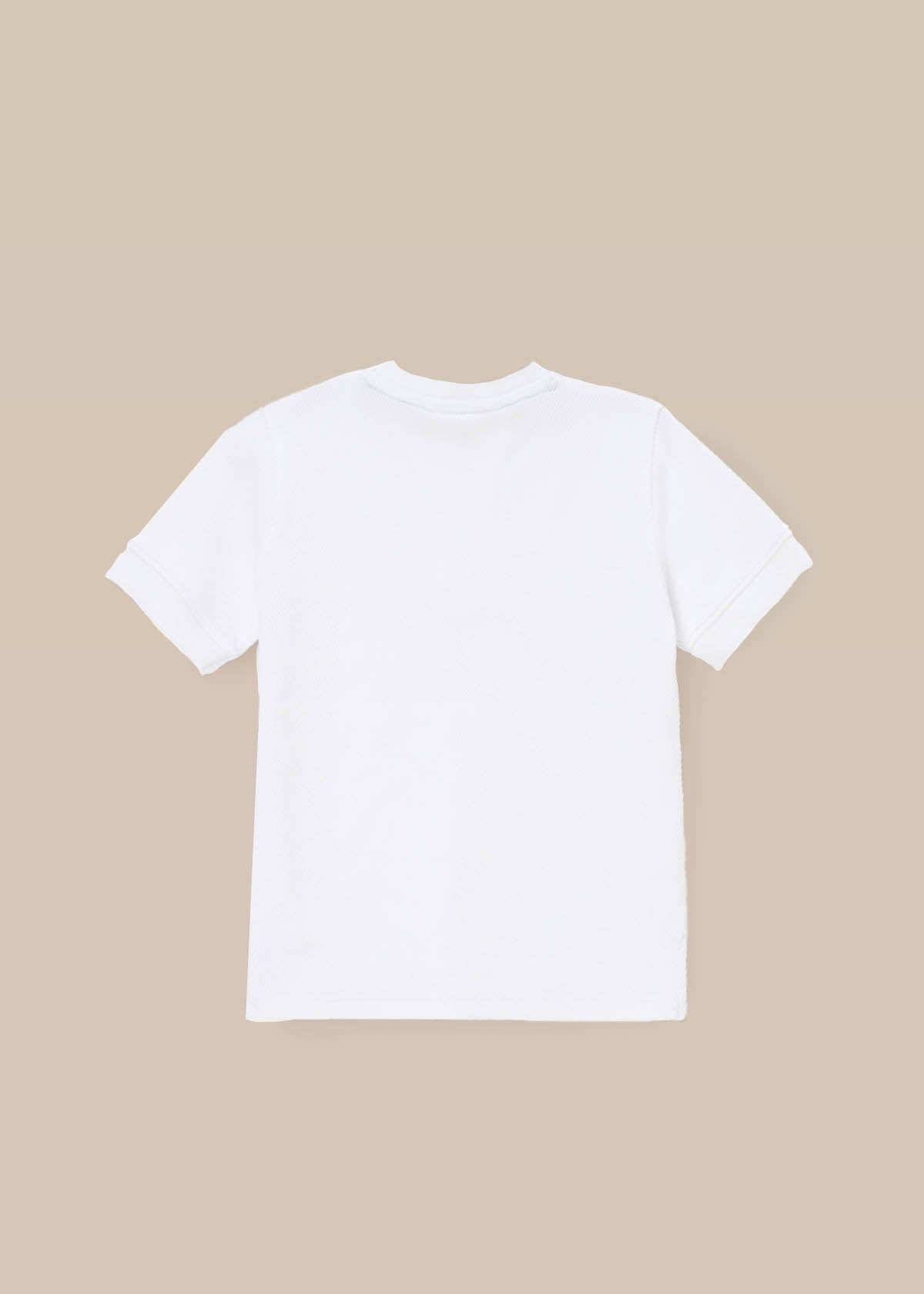 boy shirt collar