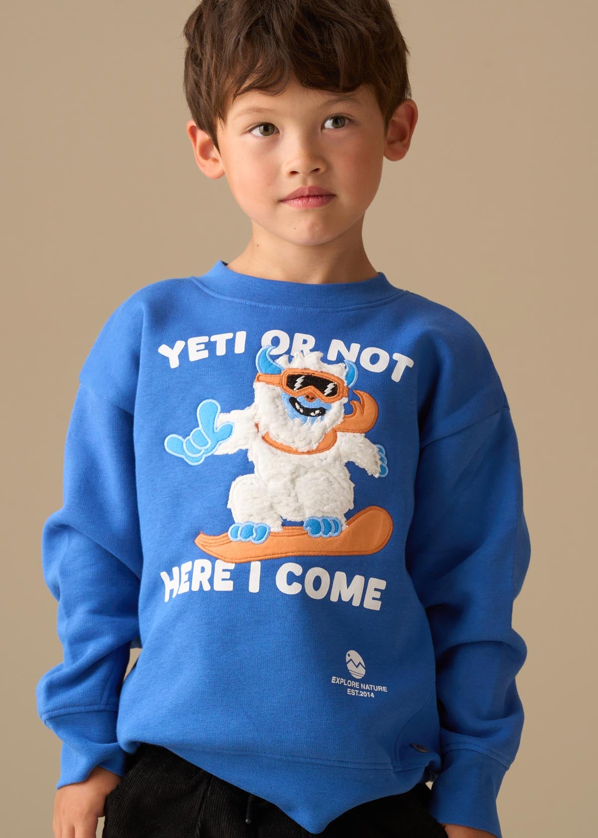 Nicolas Seasonal Print Sweatshirt - Blue
